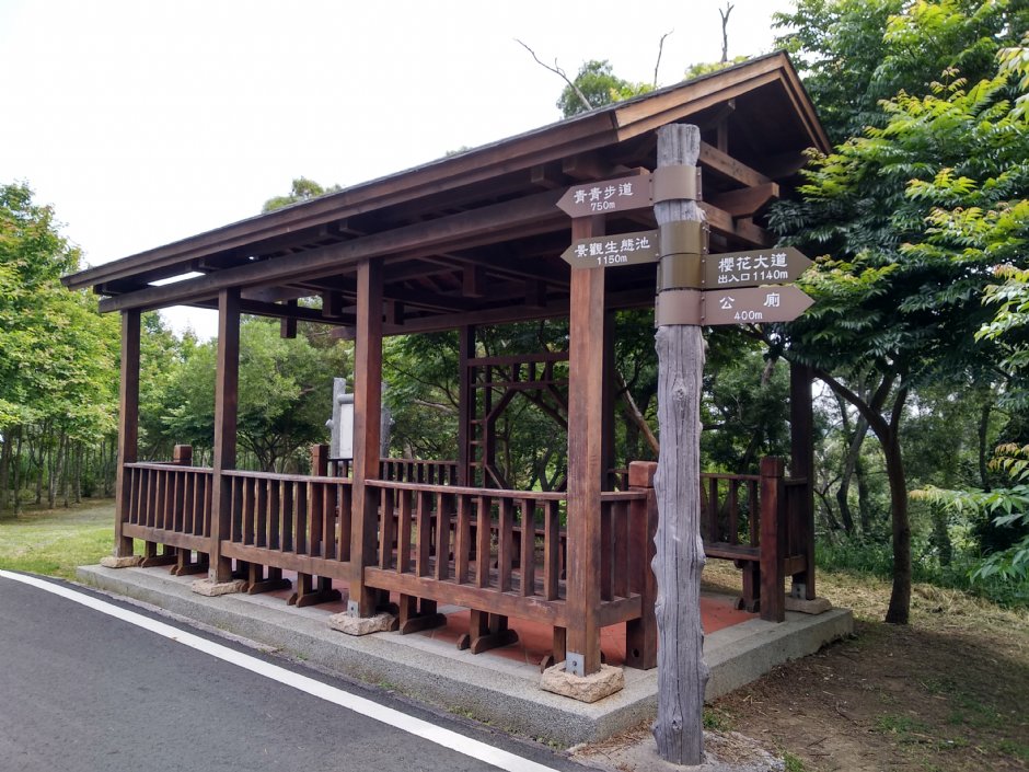 青青草原 摄影：Lu