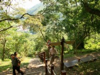 榕蔭步道與森林浴步道叉路口<br/> 攝影：老山羊部落格