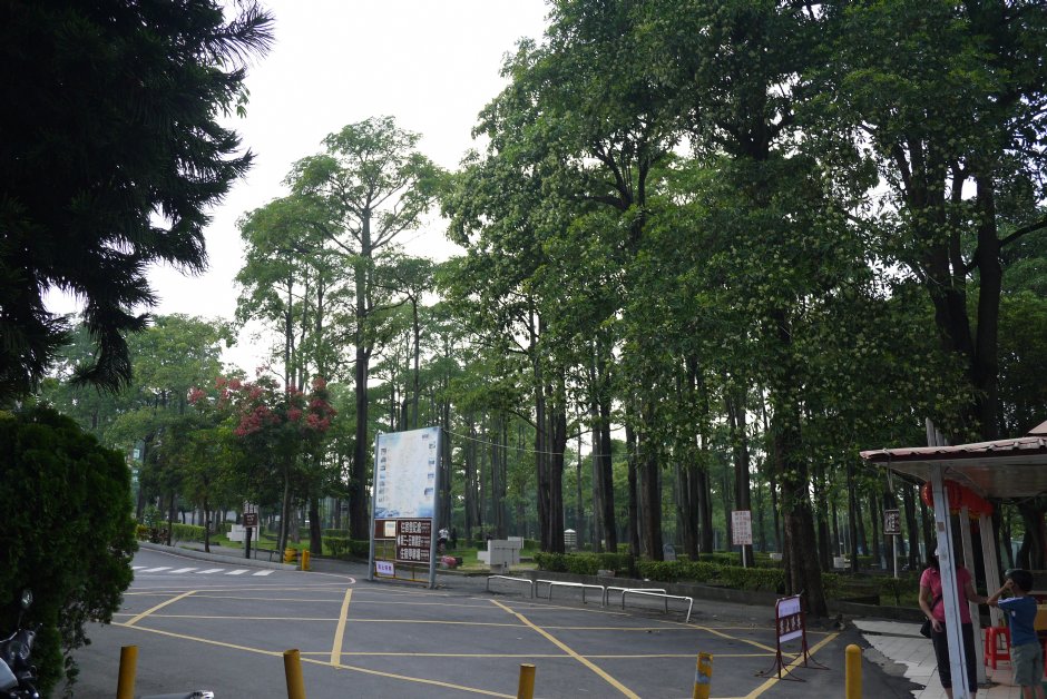 走馬瀨農場露營區 攝影：三井