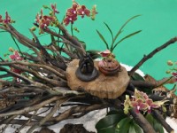 花博爭艷館-競花藝術(特展與花卉競賽)<br/> 攝影：amo