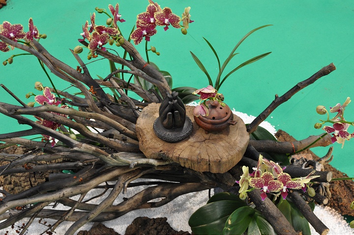 花博爭艷館-競花藝術(特展與花卉競賽) 攝影：amo
