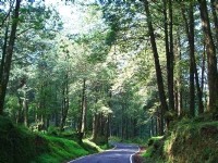 整齊林道<br/> 攝影：老山羊資訊網