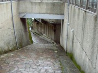 Photo:Eva隨手拍