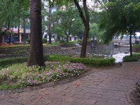 親水公園的花花草草<br/> 攝影：林夢真