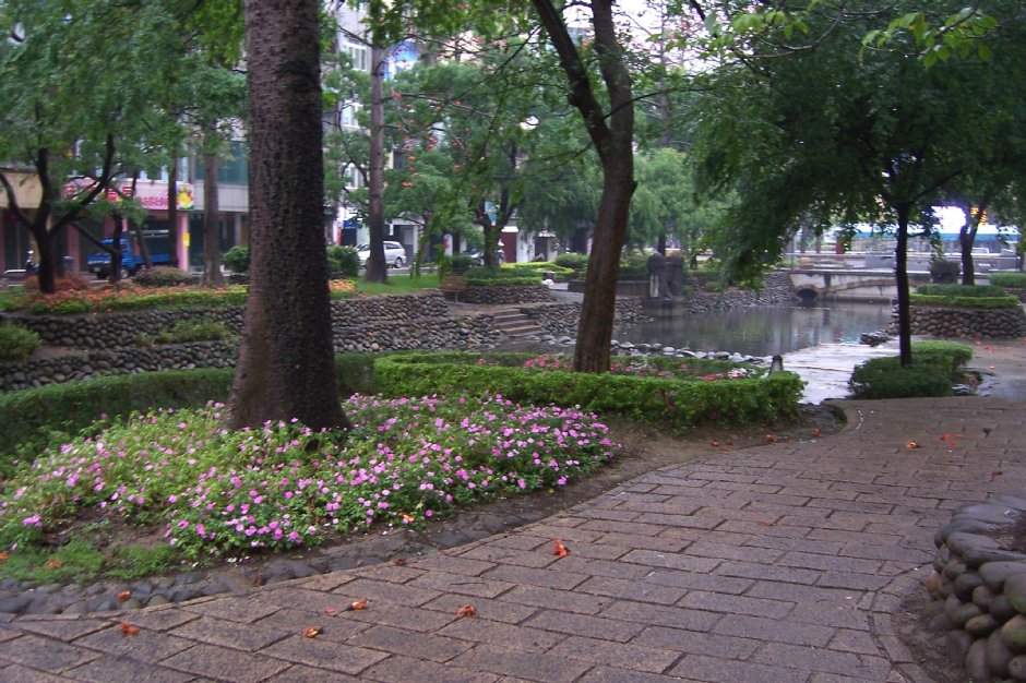 親水公園的花花草草 攝影：林夢真