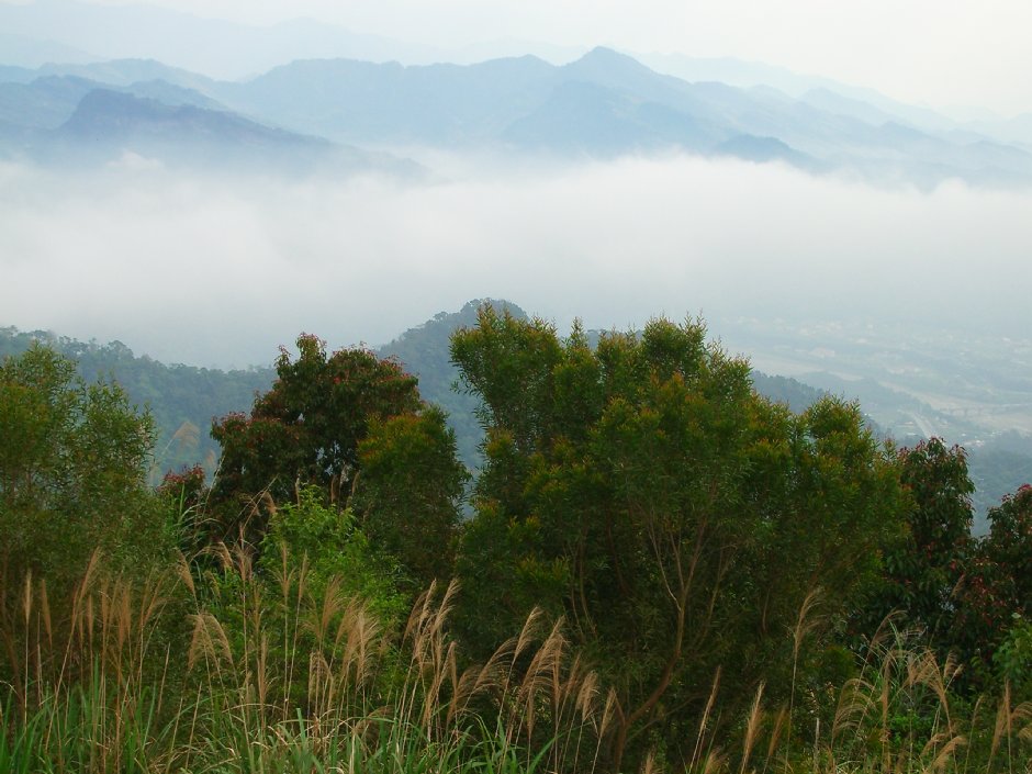 八角崠山 攝影：老山羊資訊網