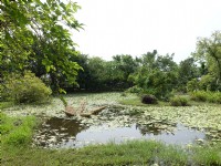 關渡自然公園<br/> 攝影：meiyin