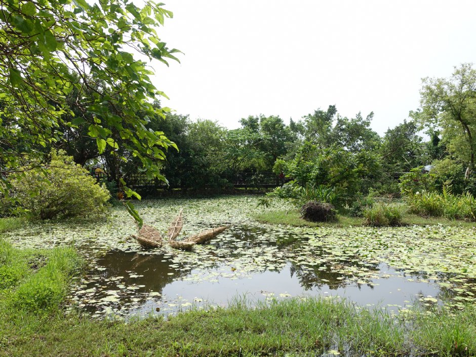 關渡自然公園 攝影：meiyin