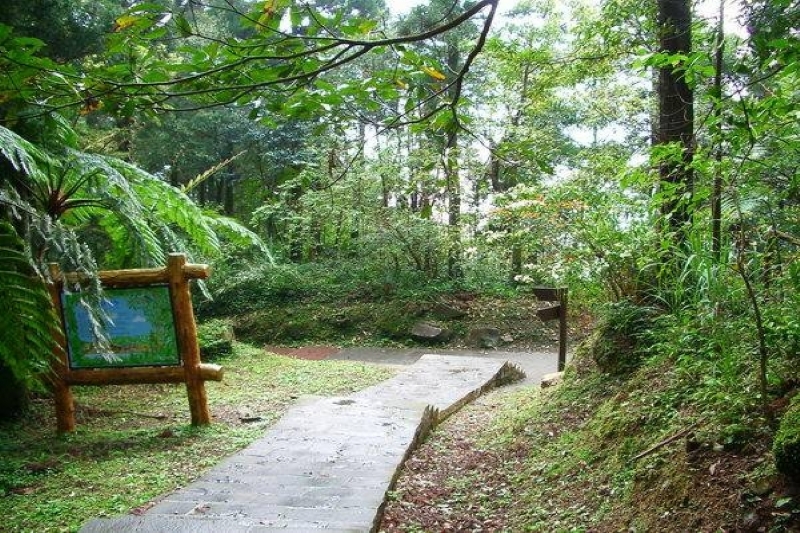 石板步道 攝影：老山羊部落格