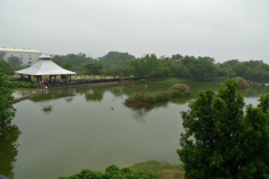 八德埤塘生態公園 攝影：Eva隨手拍