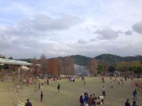大湖公園<br/> 攝影：陳皮梅