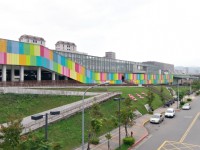 台北花市<br/> 攝影：Louis