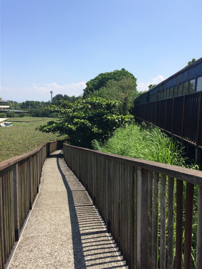 下淡水溪橋生態園區 攝影：Eva隨手拍