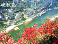 巴霧峽秋色<br/> 攝影：四川旅遊信息網