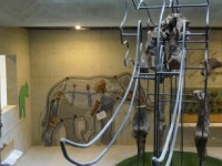 左鎮化石博物館<br/> 攝影：臺南市政府觀光旅遊局 提供