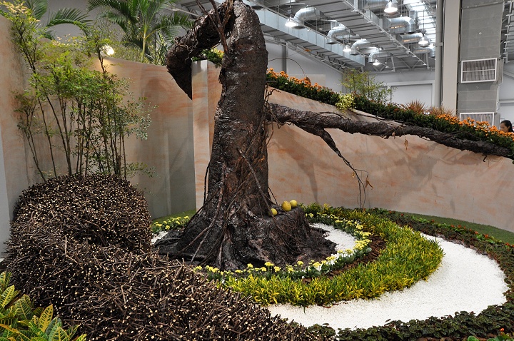 花博爭艷館-競花藝術(特展與花卉競賽) 攝影：amo