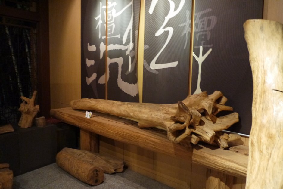 香木展示區 攝影：旅遊王攝影組