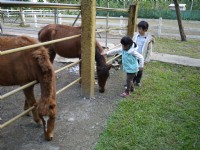 8大森林樂園<br/> 攝影：三個井