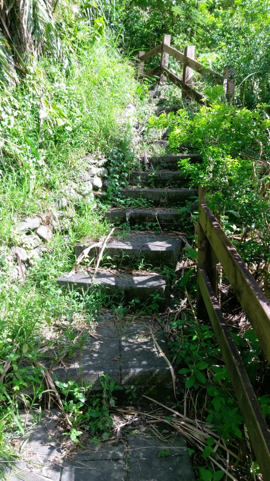 大石鼻山步道 攝影：Eva隨手拍
