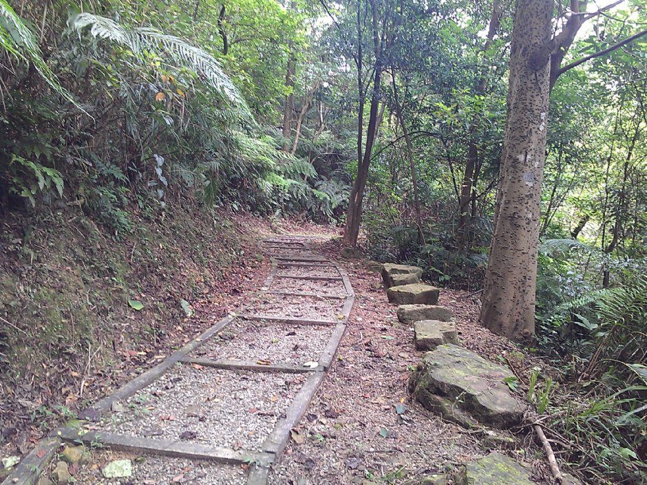 富民親水公園 攝影：Eva隨手拍