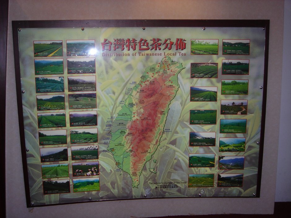 台灣特色茶分佈圖 攝影：余燕鳳