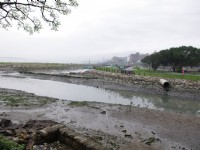 由淡水文化園區後方可見濕地生態<br/> 攝影：Eva隨手拍