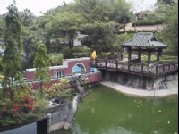 池畔一景<br/> 攝影：郭香妙