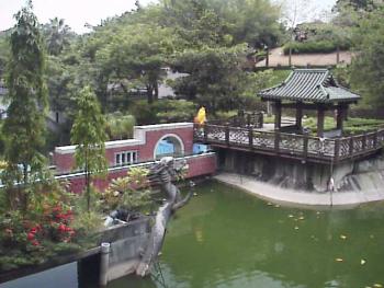 池畔一景 攝影：郭香妙