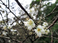 華陶窯<br/> 攝影：proboss