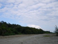 海濱秋茂園<br/> 攝影：三井