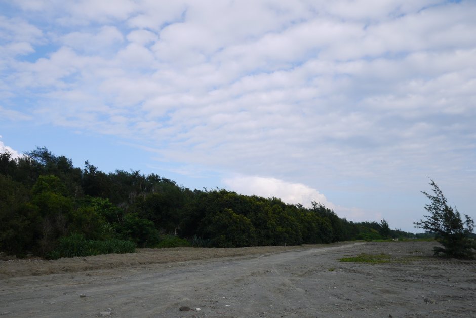 海濱秋茂園 攝影：三井