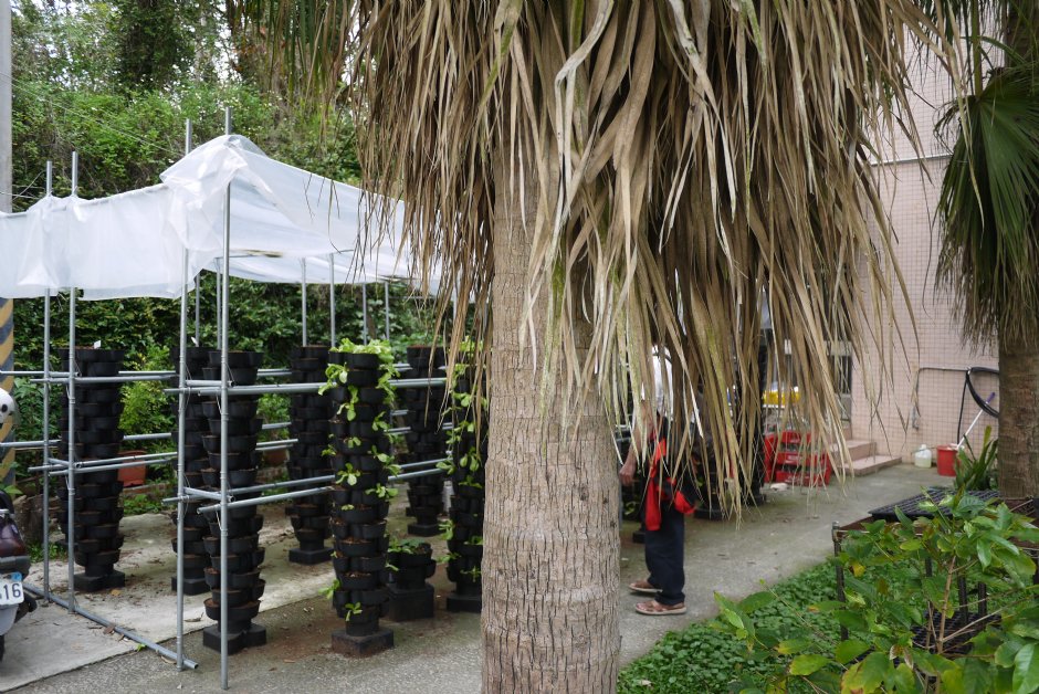 新化植物园立体植栽 摄影：旅遊王攝影組