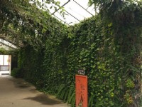 台一生態休閒農場<br/> 攝影：Louis