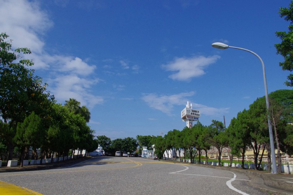 臺鹽通霄觀光園區入口道路 攝影：Eva隨手拍
