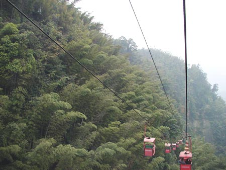 竹海索道-02 攝影：四川旅遊信息網
