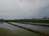 林初埤田園景觀<br/> 攝影：旅遊王攝影組