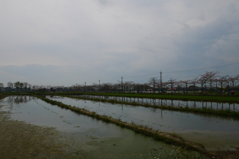 林初埤田園景觀 攝影：旅遊王攝影組
