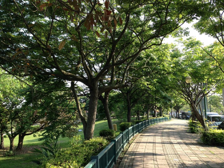 都會公園外圍腳踏車及步道 攝影：Kate