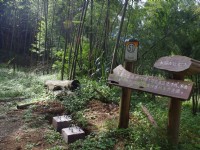 木馬古道<br/> 攝影：Eva隨手拍