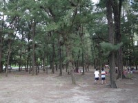 海濱秋茂園<br/> 攝影：三井