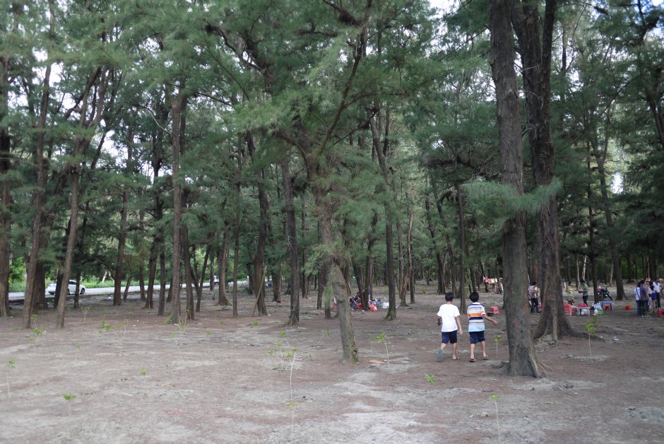 海濱秋茂園 攝影：三井