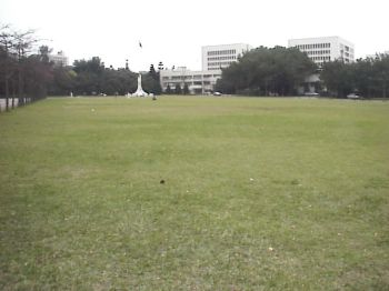 草坪 攝影：郭香妙