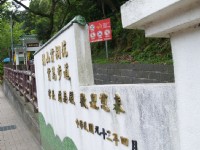 朝山賞桐花、賞鳥步道<br/> 攝影：amo