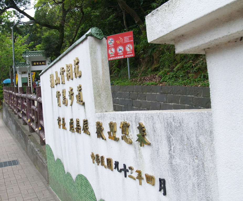 朝山賞桐花、賞鳥步道 攝影：amo