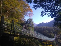 奧萬大吊橋<br/> 攝影：Lu