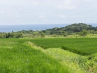 金剛大道長光梯田<br/> 攝影：台東觀光旅遊網 提供