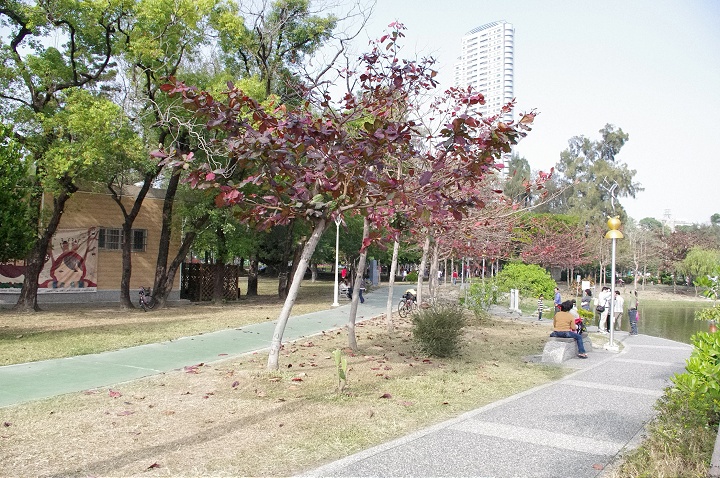 中央公園 攝影：Eva隨手拍