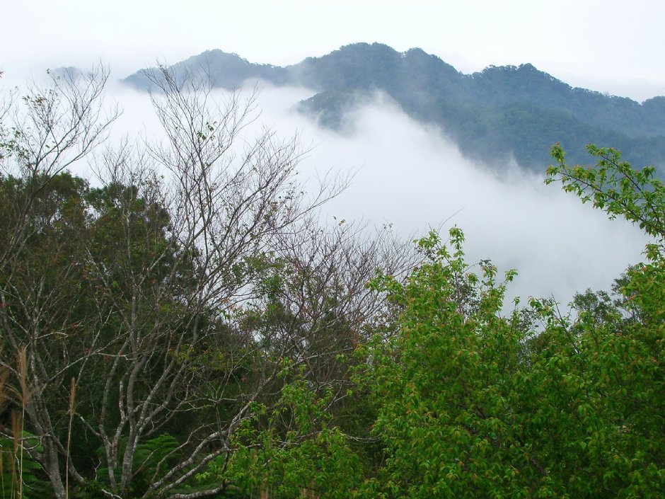 八角崠山 攝影：老山羊資訊網