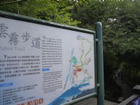 雲霧步道<br/> 攝影：旅遊王攝影組