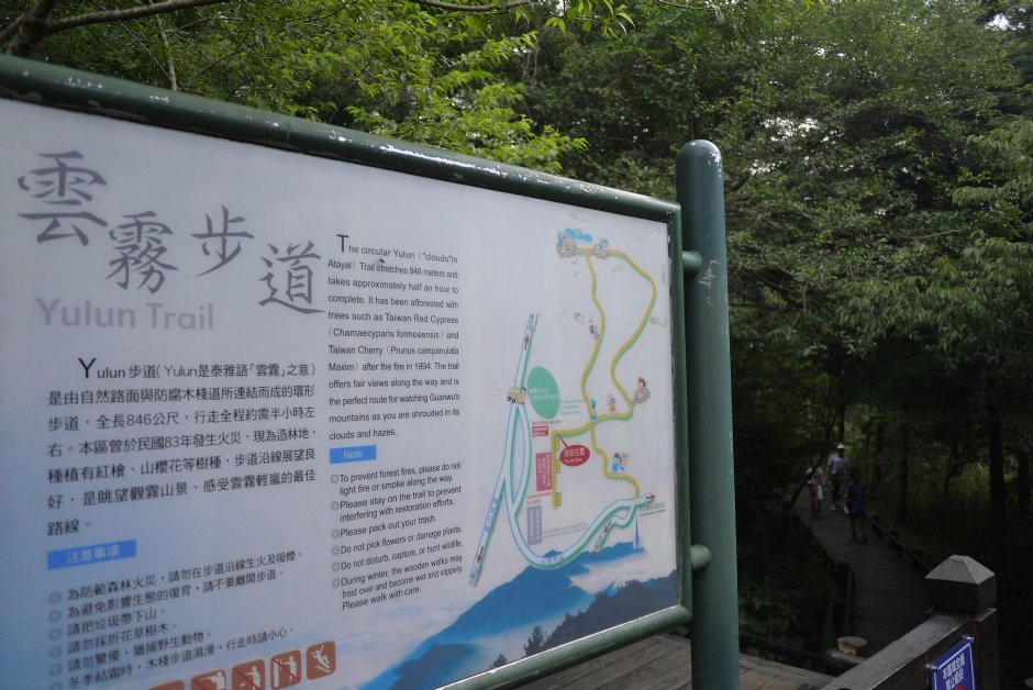 雲霧步道 攝影：旅遊王攝影組